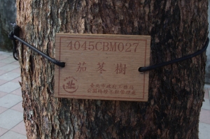 tree plaque