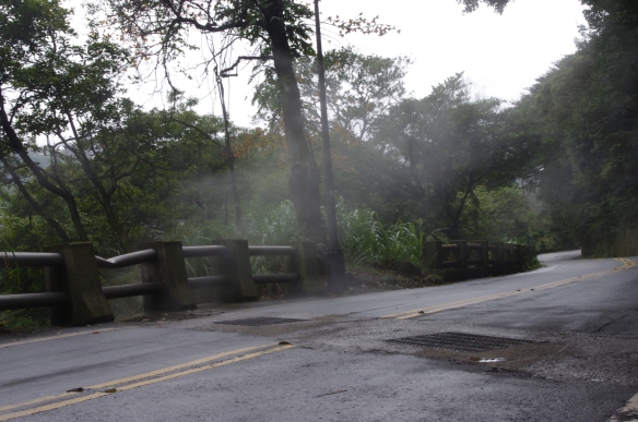 Sulphurous steam rises from the roadside, Yangmingshan