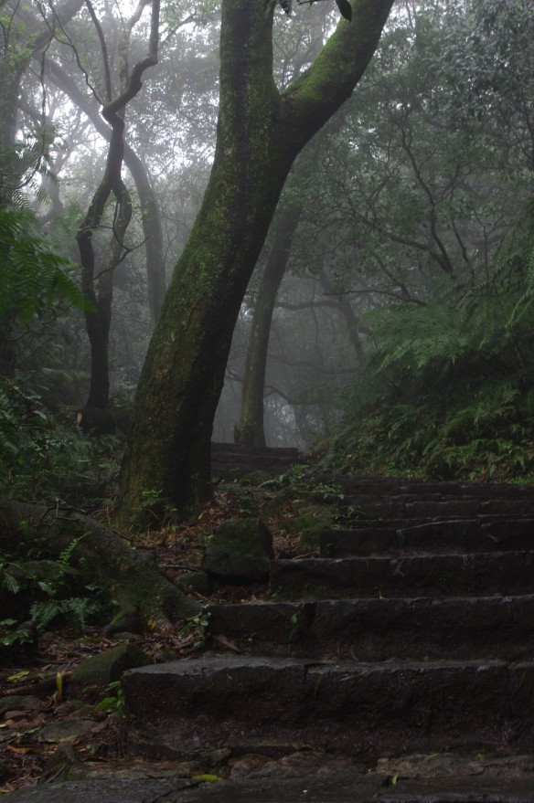 Damp and misty paths on Seven Stars Mountain 七星山