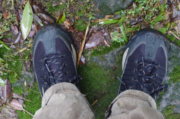 New shoes (and damp, mossy stones)