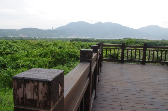 Guandu Nature Park and the southeast viewing platform